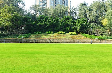 都市中央绿地景观升级