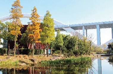 城市地标旁的生态景观融合