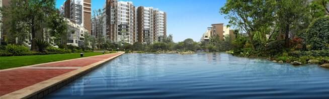 水景园林绿化设计,给您绿色的心情